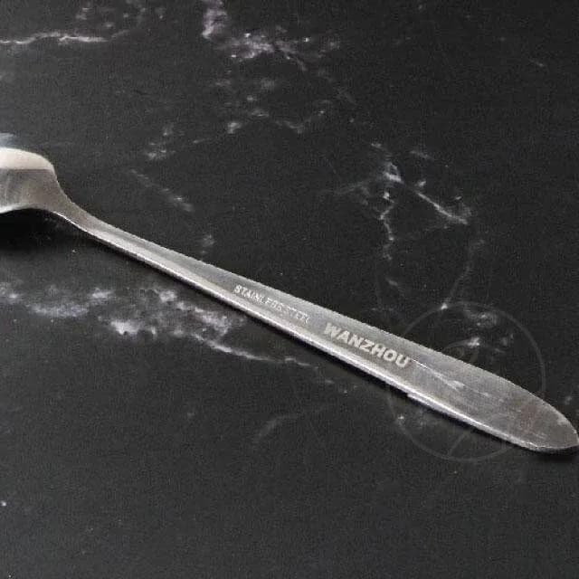 Stainless Long Spoon