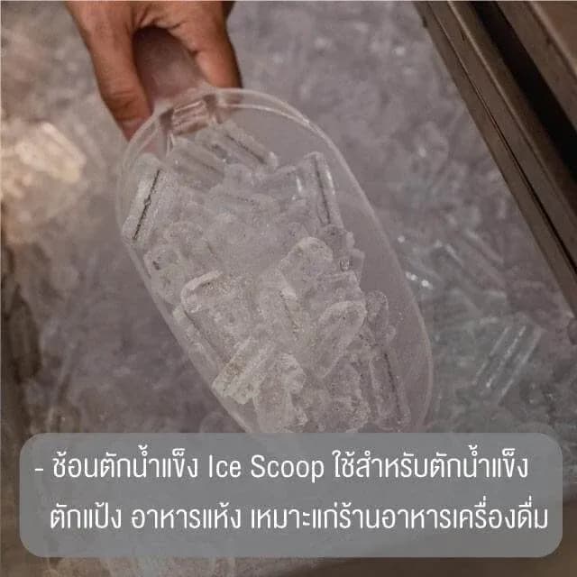 Ice Scoop