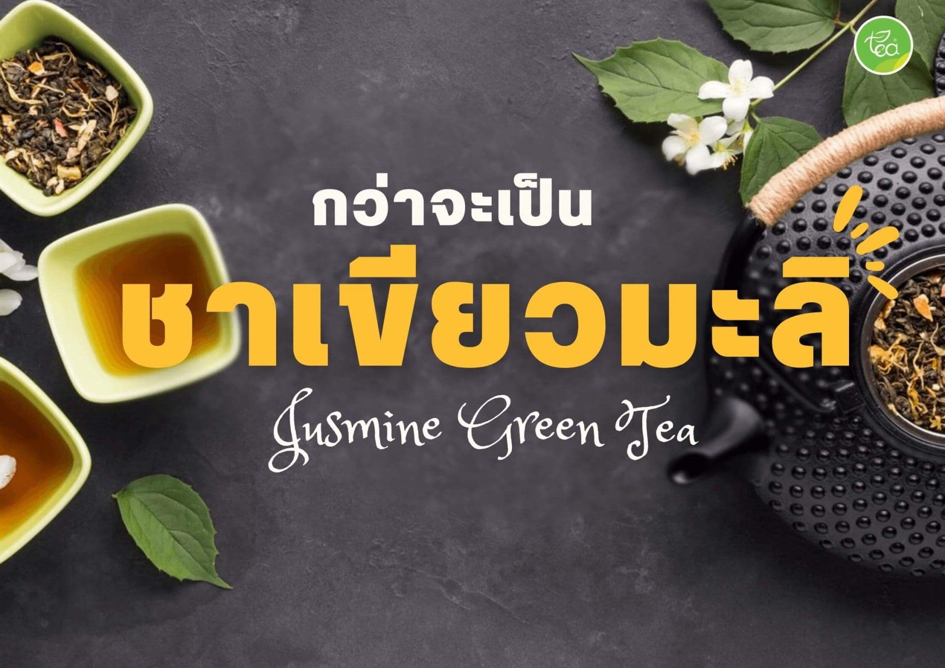กว่าจะเป็นชาเขียวมะลิ (Jasmine Green Tea) ชาที่หอมอ่อนของดอกมะลิ ละมุน ชาที่คุณควรลิ้มลอง