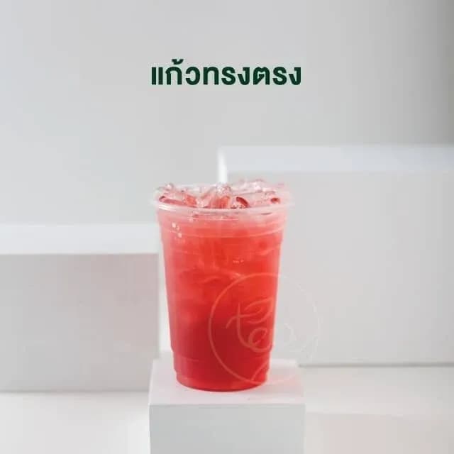 PP Cup, Straight 16 oz (unprinted)