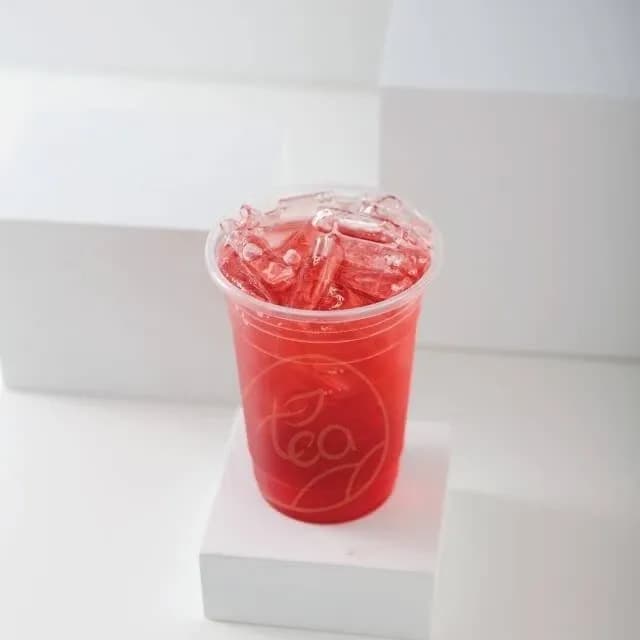 PP Cup, Straight 16 oz (unprinted)